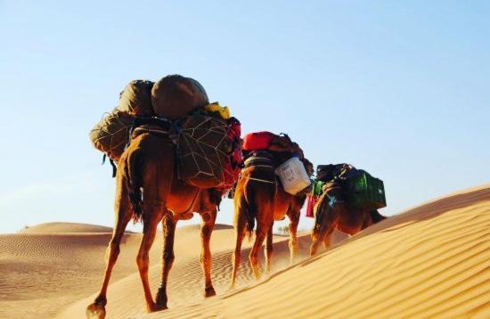 Camp Sahara Holidays Мхамід Екстер'єр фото
