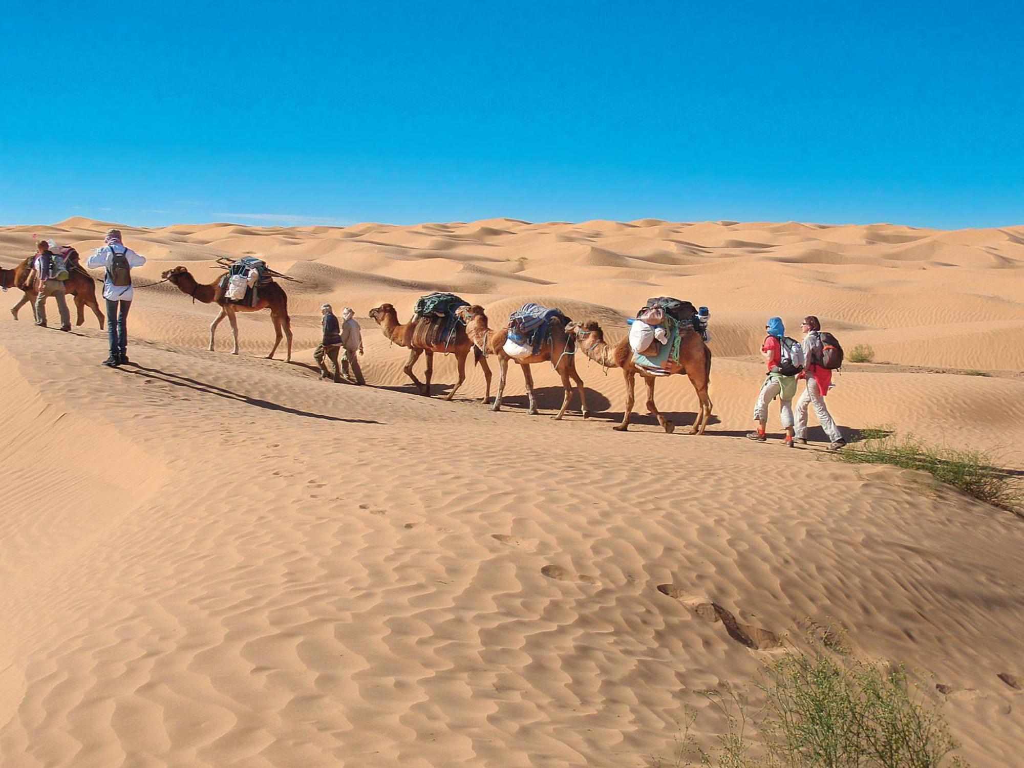 Camp Sahara Holidays Мхамід Екстер'єр фото