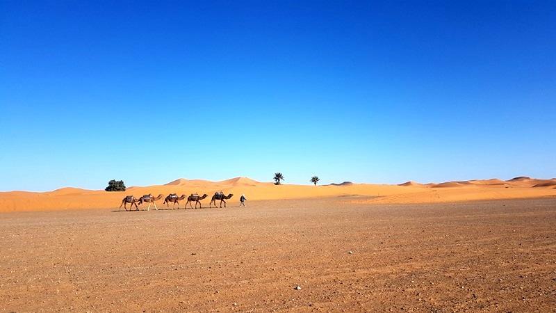 Camp Sahara Holidays Мхамід Екстер'єр фото
