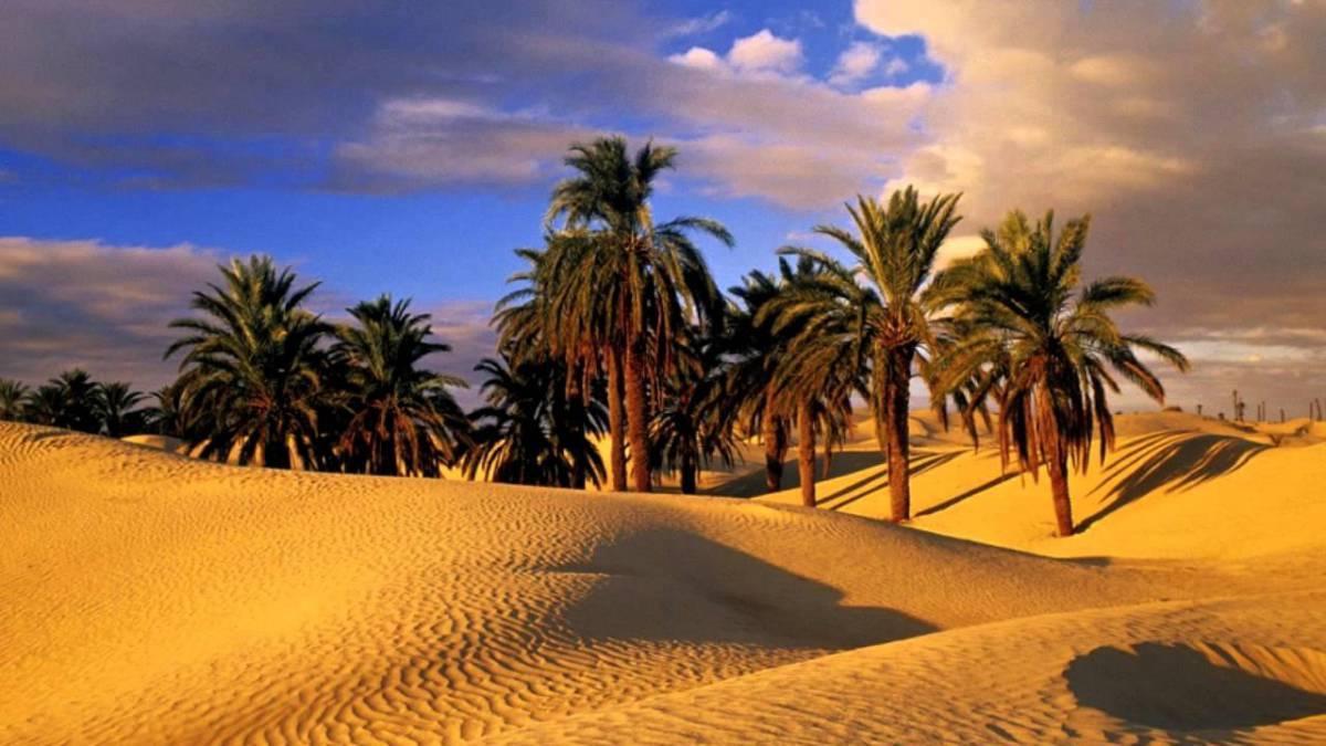 Camp Sahara Holidays Мхамід Екстер'єр фото