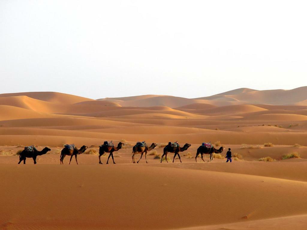 Camp Sahara Holidays Мхамід Екстер'єр фото